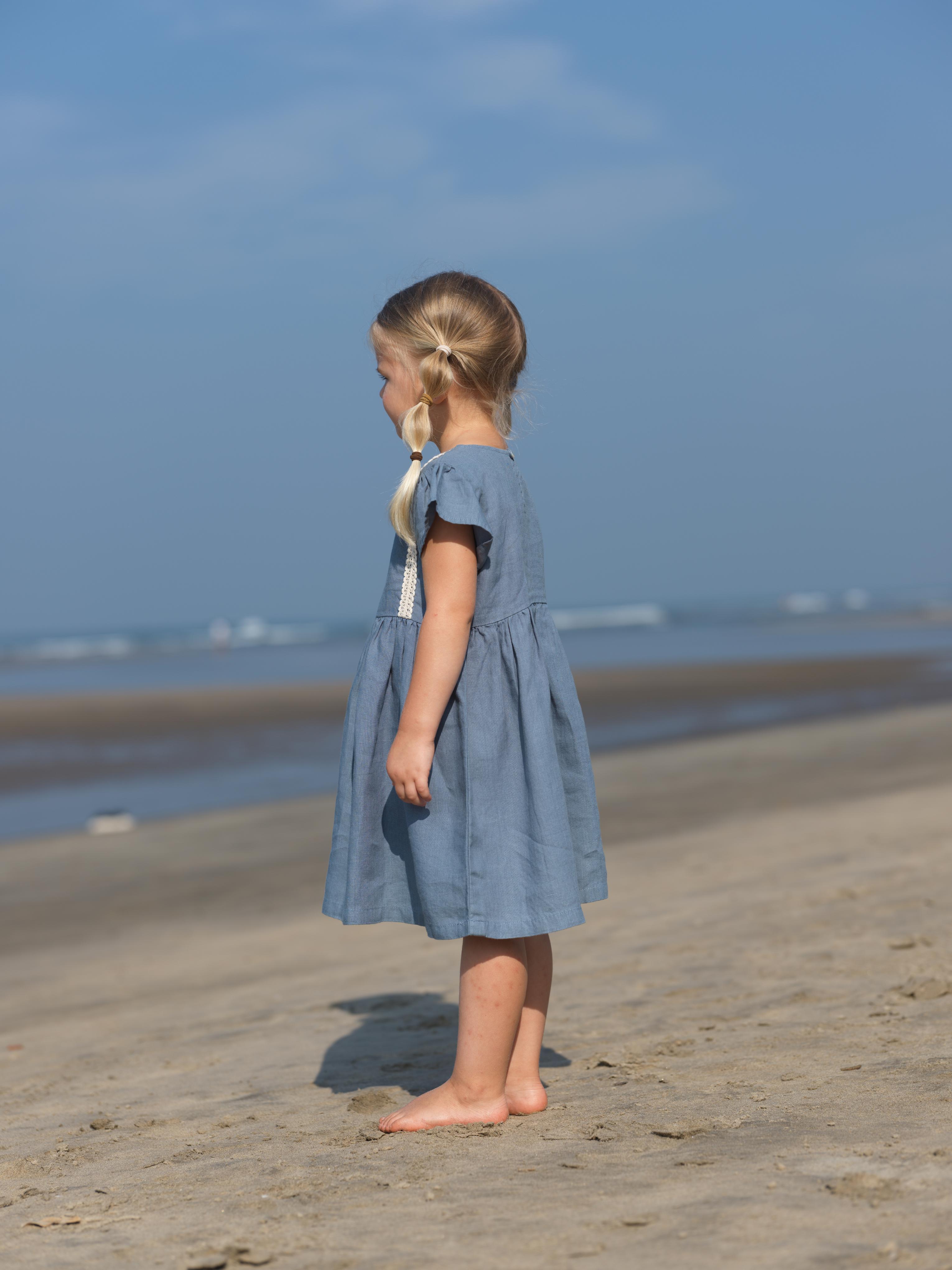 Girl Flared Sleeve Lace Detail Dress Airforce Blue