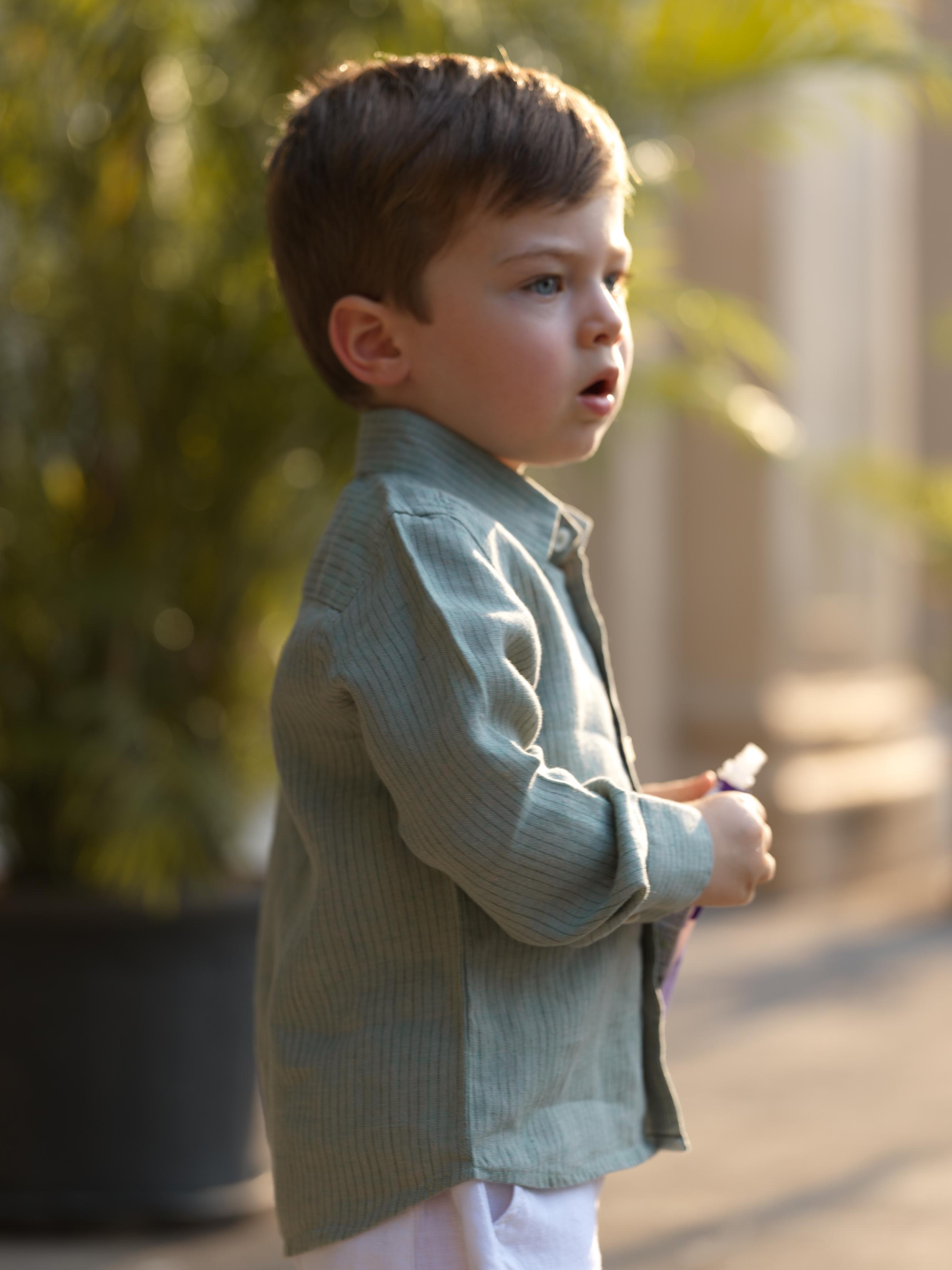 Boys Regular Collar Shirt Sage Hairline