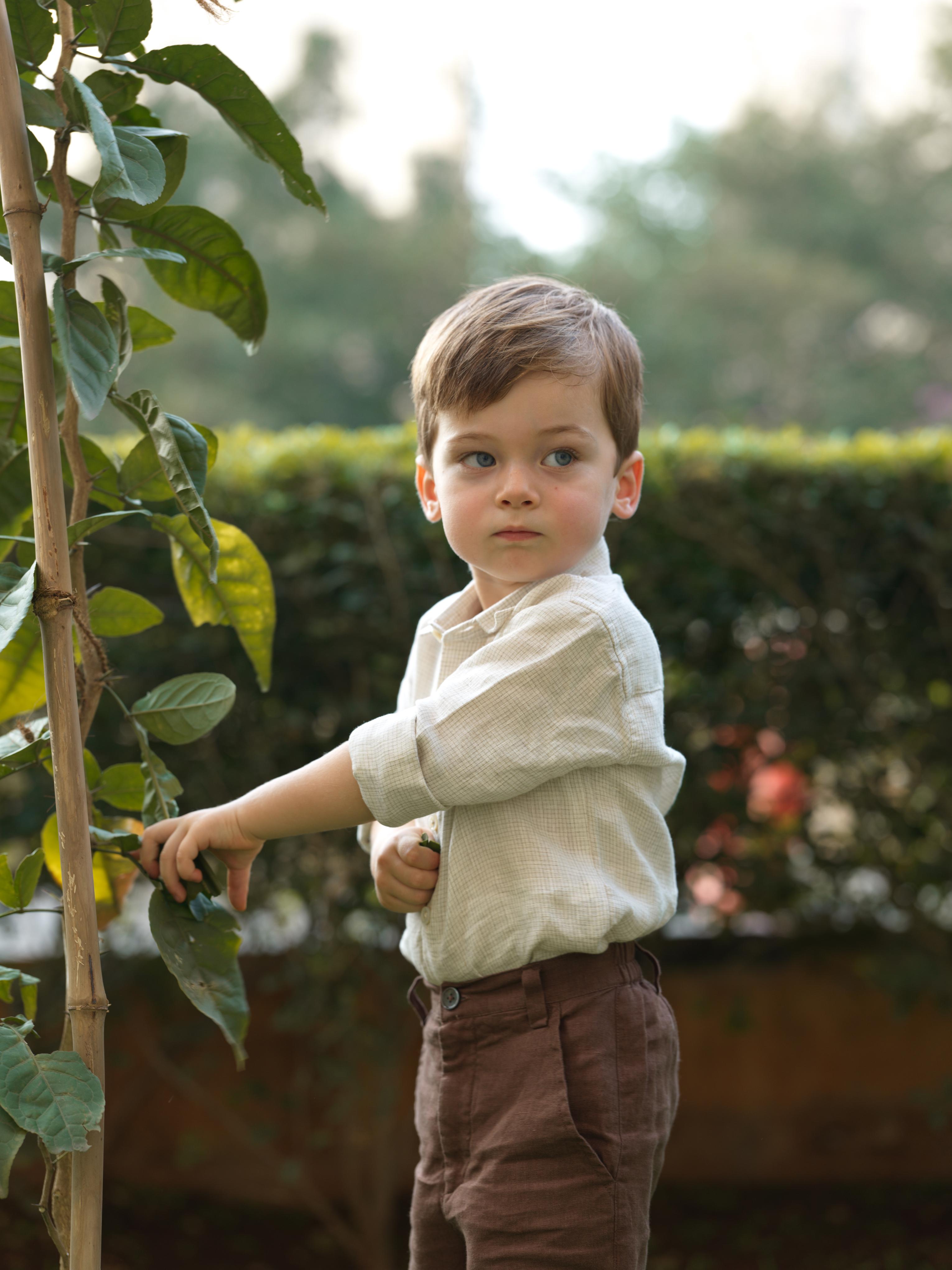 Boys Regular Collar Shirt Ivory Check