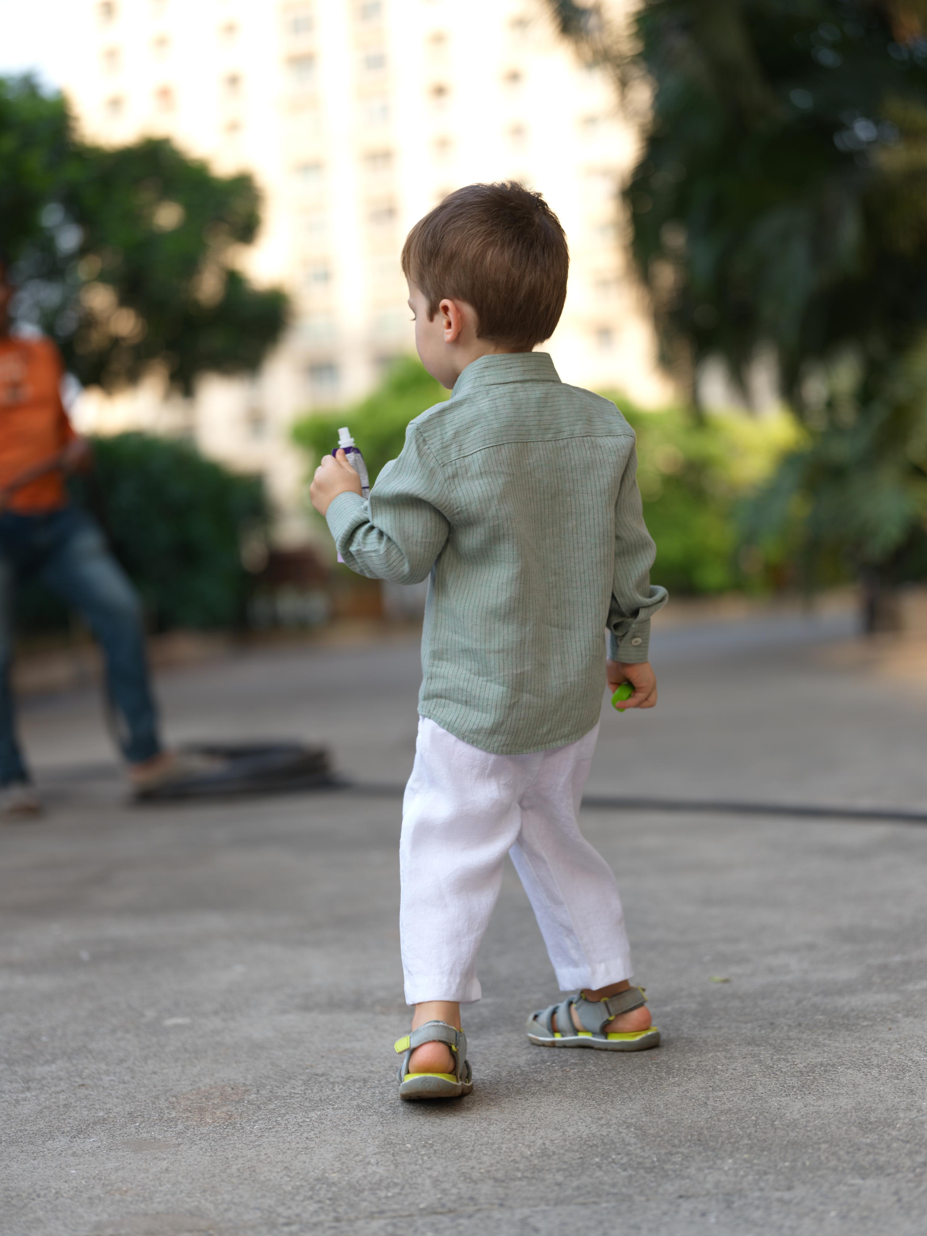 Boys Regular Collar Shirt Sage Hairline