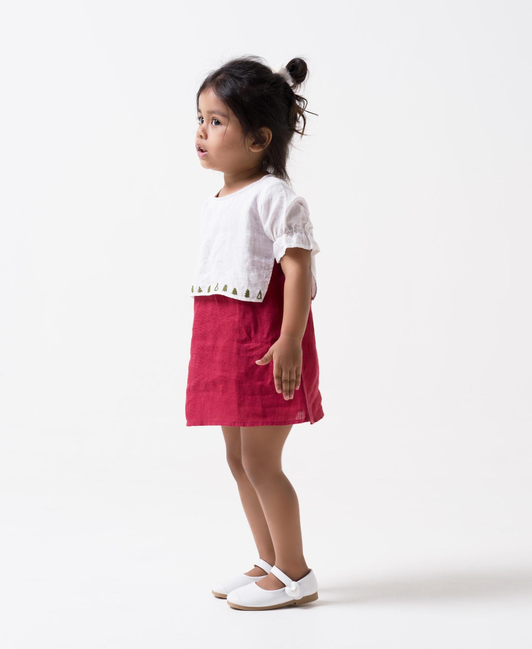 Hand-Embroidered 2 Layer Puff Sleeve Dress