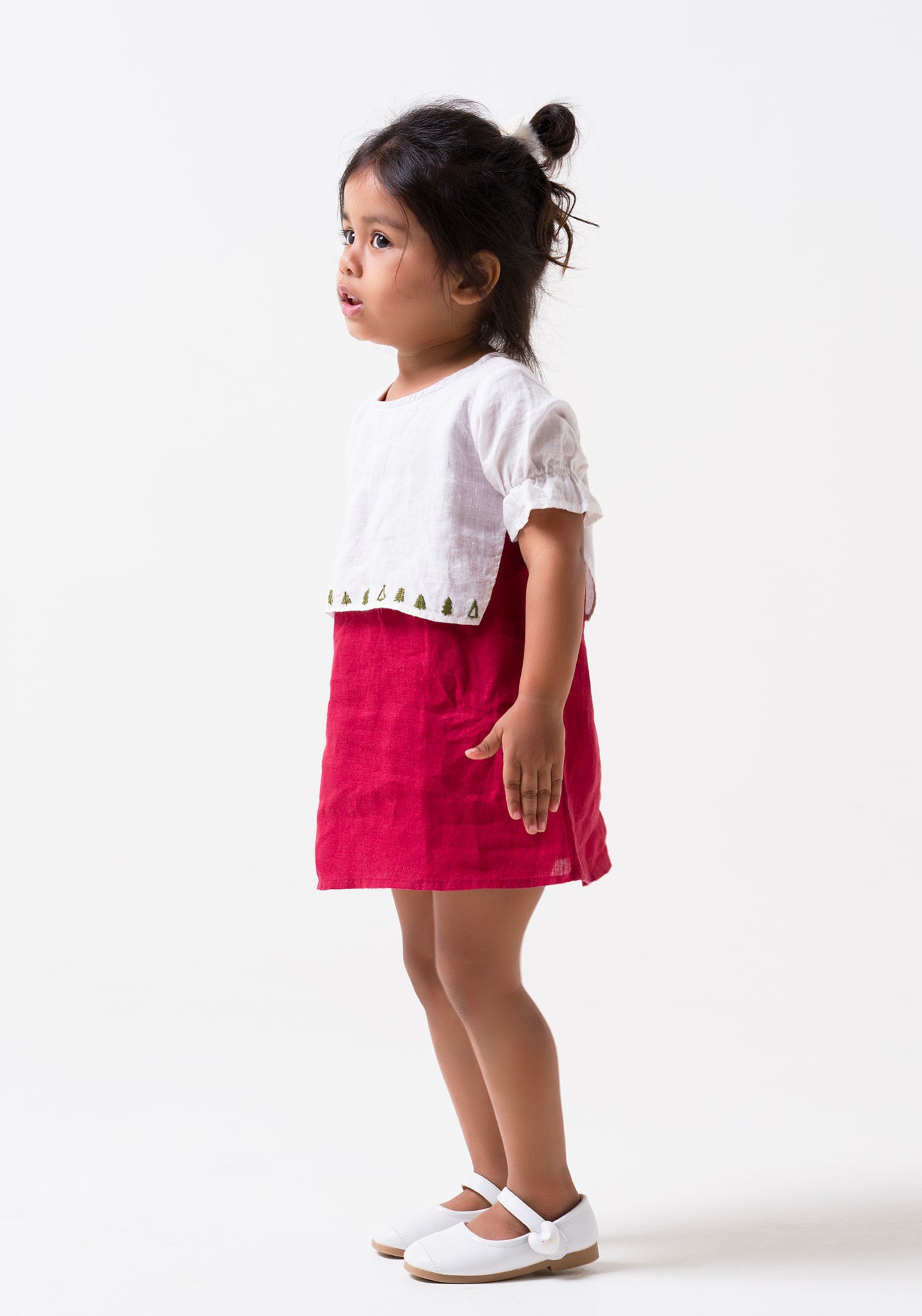 Hand-Embroidered 2 Layer Puff Sleeve Dress