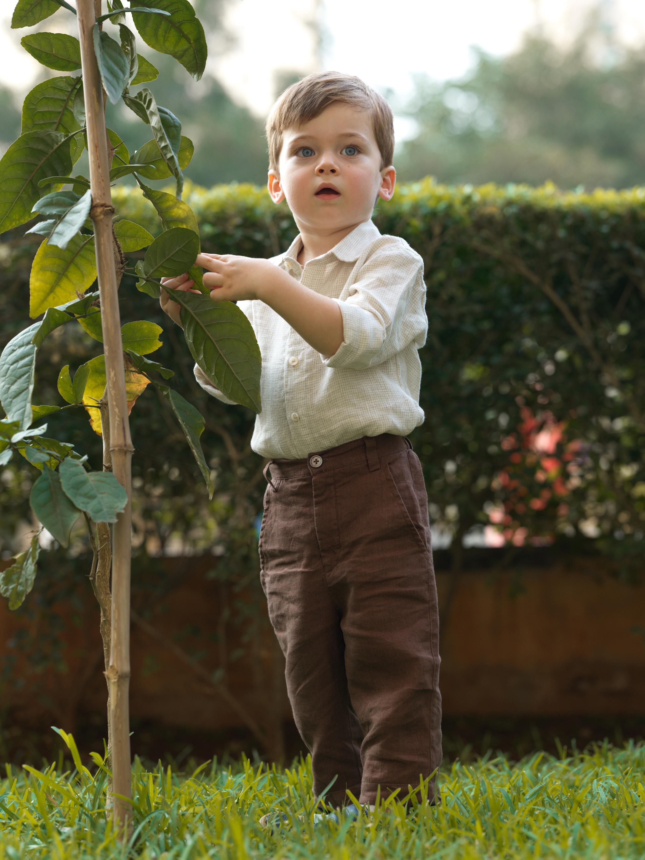 Boys Regular Collar Shirt Ivory Check
