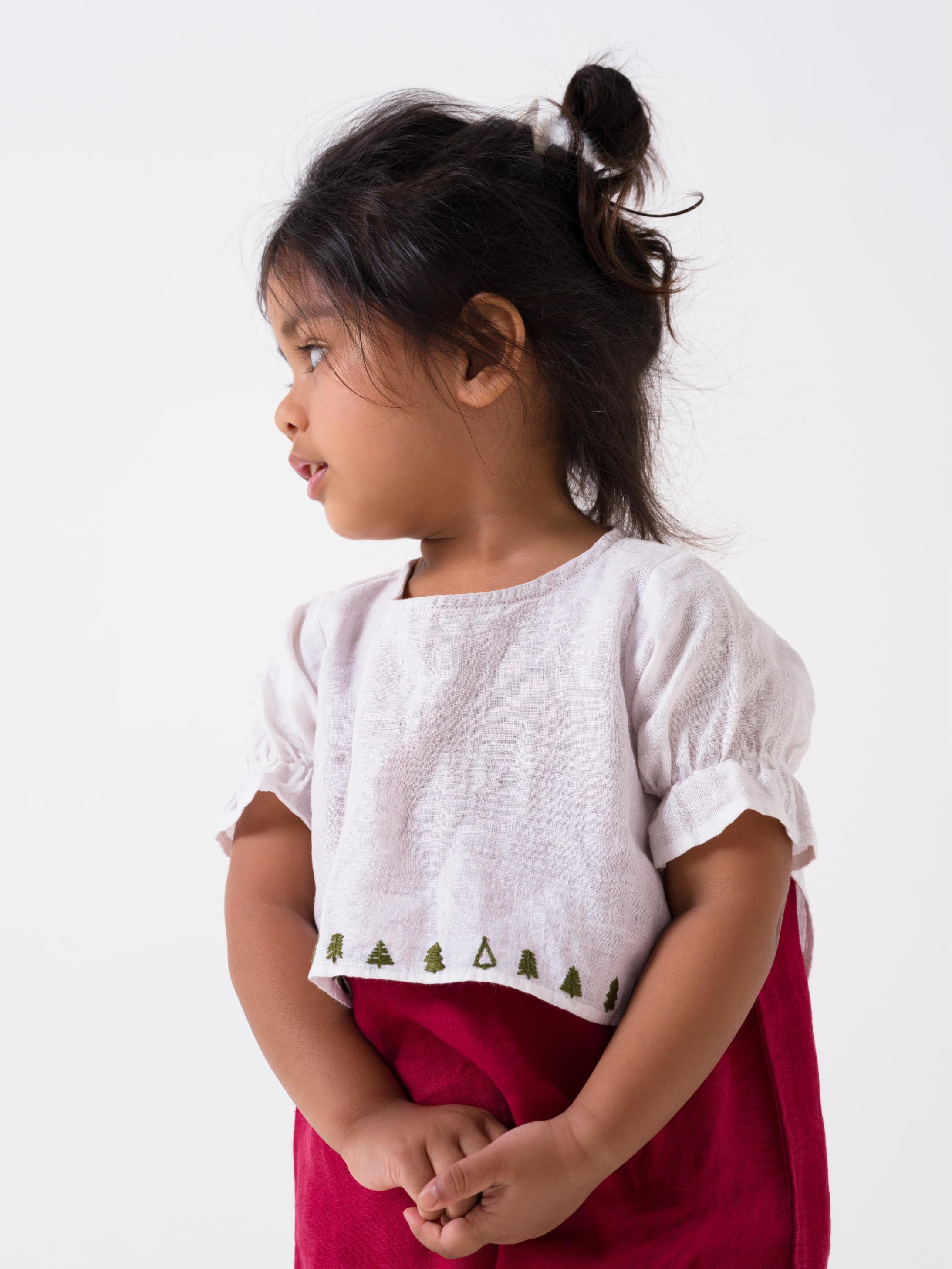 Hand-Embroidered 2 Layer Puff Sleeve Dress