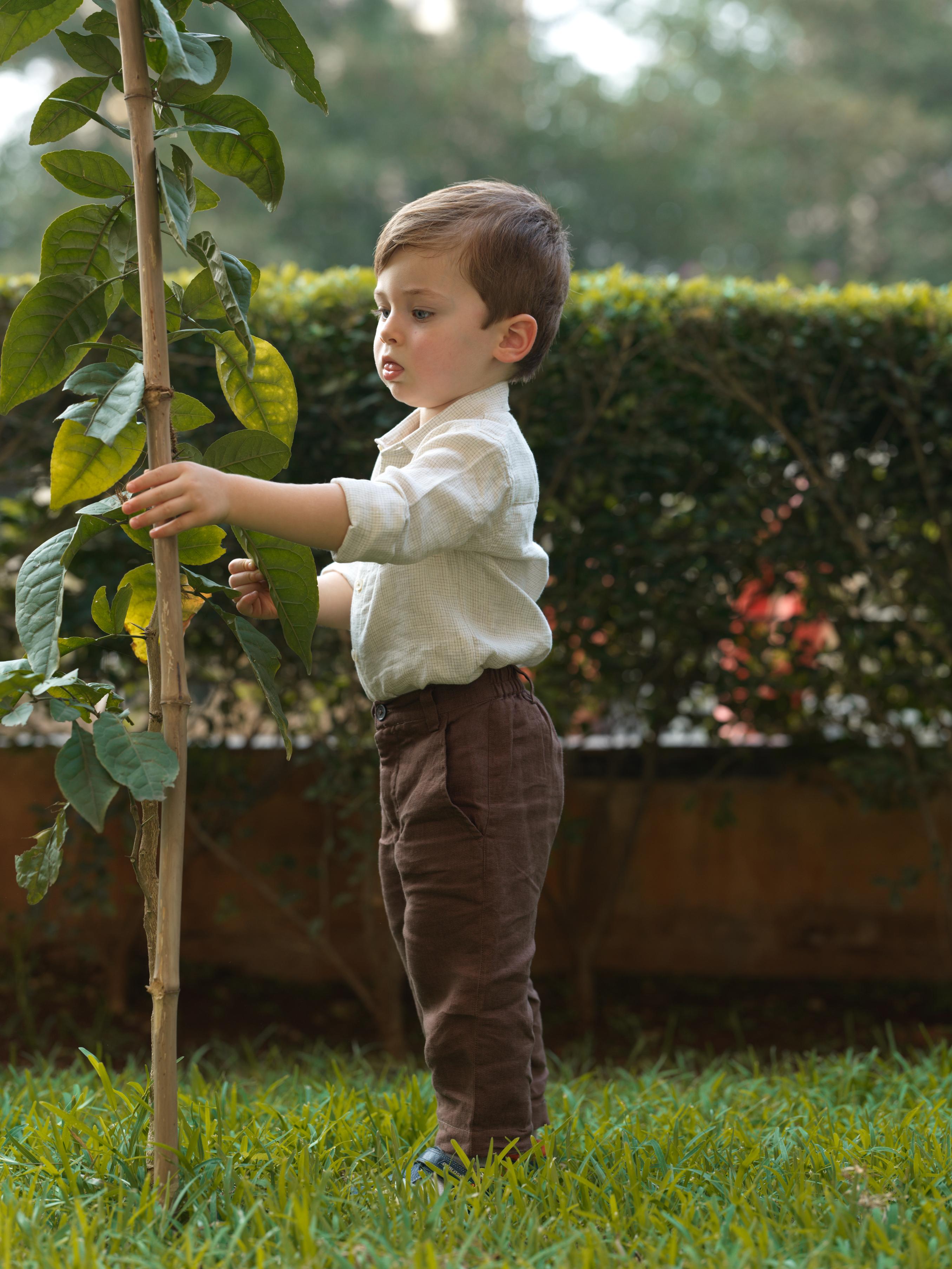 Boys Trousers Walnut