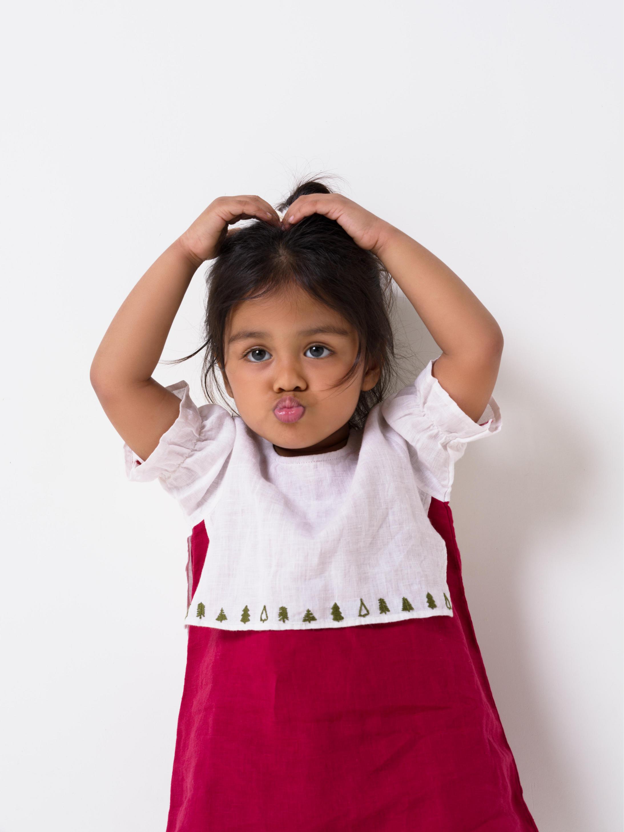 Hand-Embroidered 2 Layer Puff Sleeve Dress