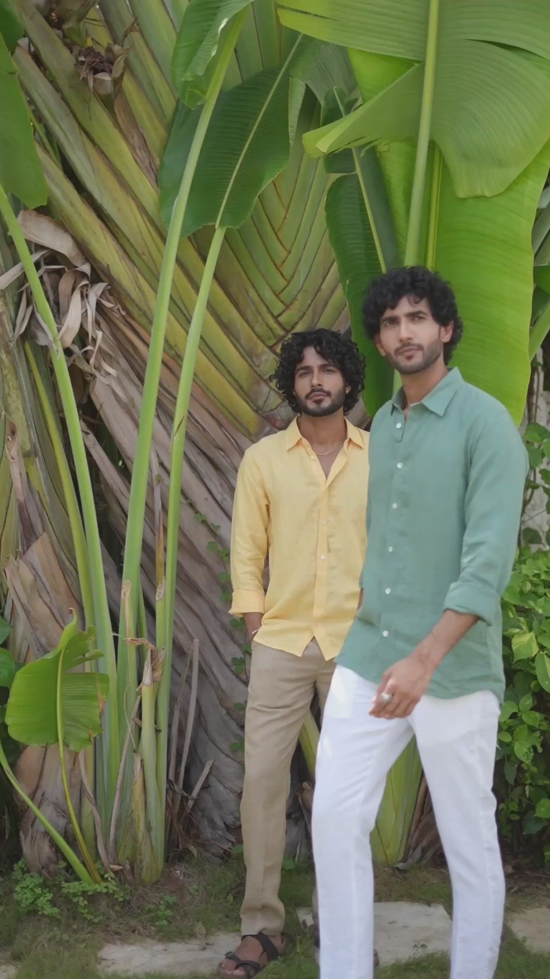Classic Collar Fern Green Shirt