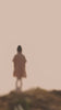 Layered Sleeves Frock